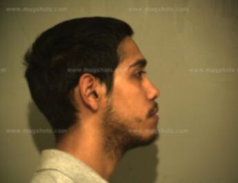 Brandon Lee Estrada