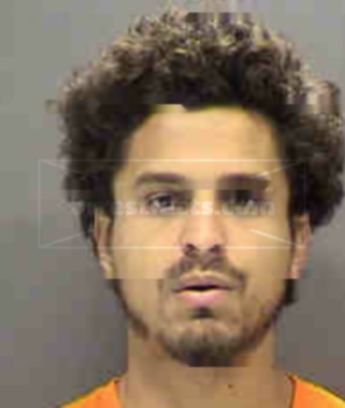 Anthony Michael Mcgonegal