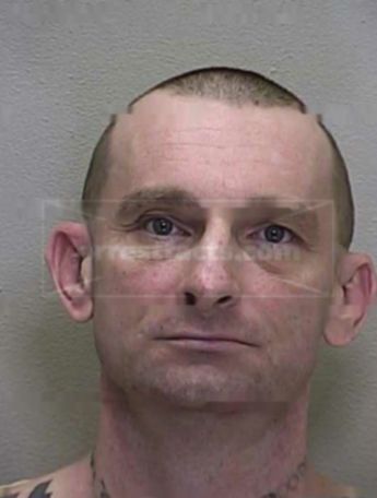David Newton Bierly