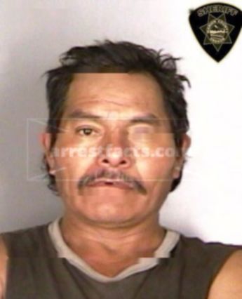 Guadalupe Hernandez-Diaz
