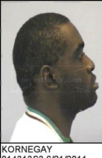 Collins Lee Kornegay Jr.