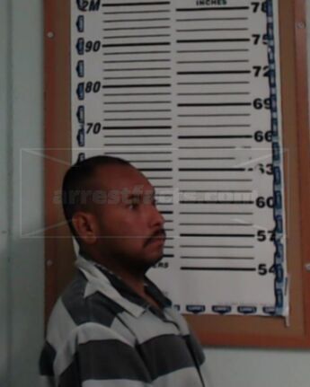 Luis Leiva