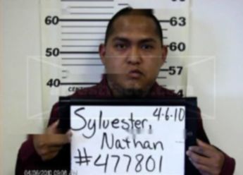 Nathan Sylvester