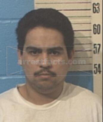 Jose A Hernandez-Benitez