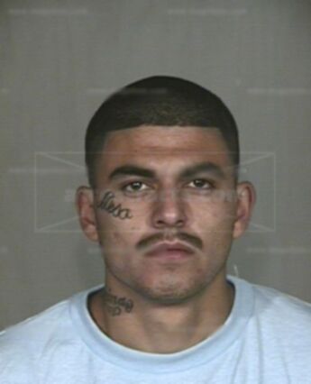 Stephen F Valdez