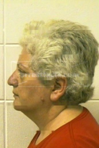 Theresa Lynn Clark