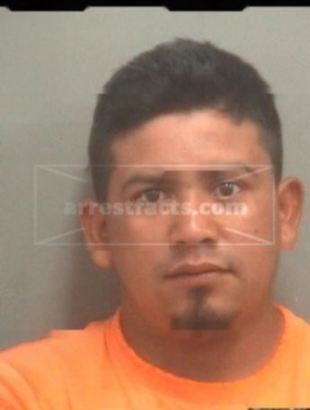 Jose L Lopezmelendez