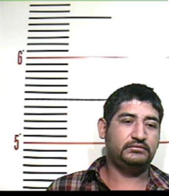 Felipe Calvillo