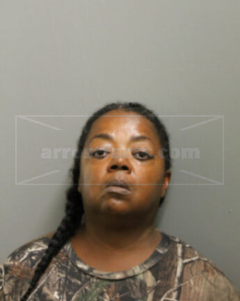 Carmen L Johnson