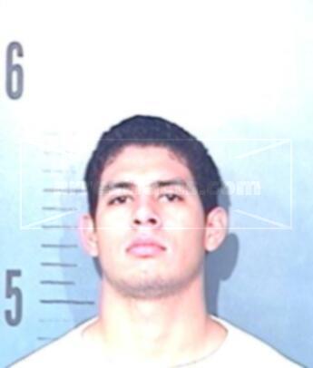 Maximo Bayardo Flores