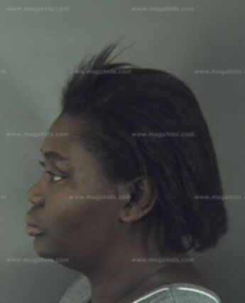 Tammy Elizabeth Mcmillian
