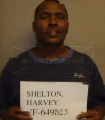 Harvey Shelton