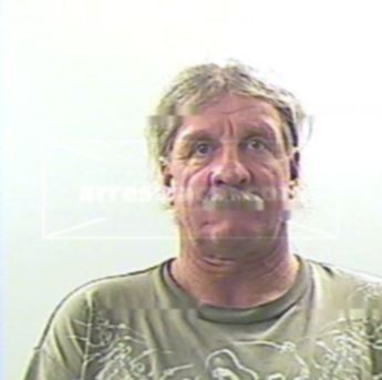 Panther David Austin