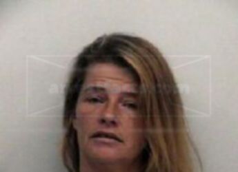 Cindy Ann Wise