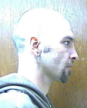 Christopher L Mongold
