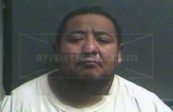 Misai Martinez Nogales