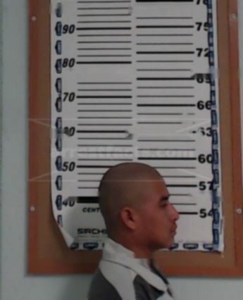 Francisco Ramirez-Dominguez