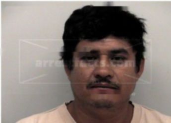 Alejandro Garcia-Flores