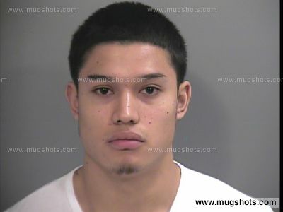 Omar Verde
