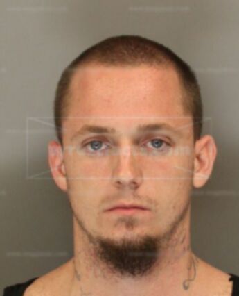 Zimmerman Travis Lee
