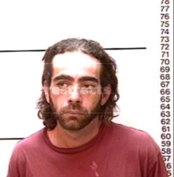 Amos Travis Brink