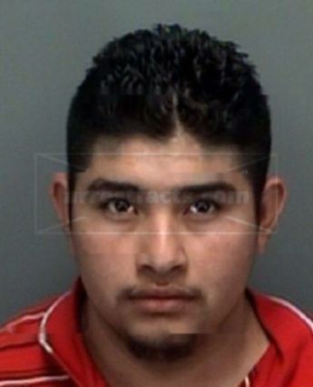 Gonzalez Ramirez Cruz