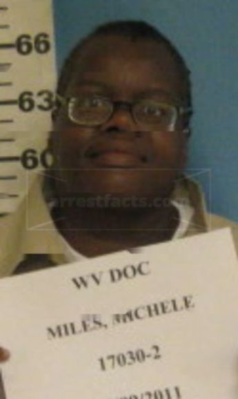 Michelle R Miles
