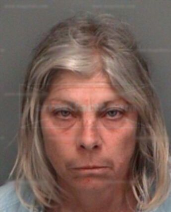 Virginia Lillian Turner
