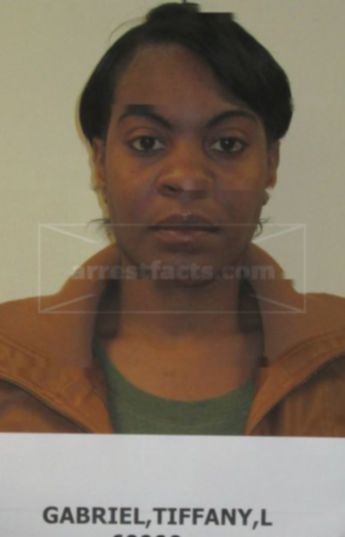 Tiffany L Gabriel