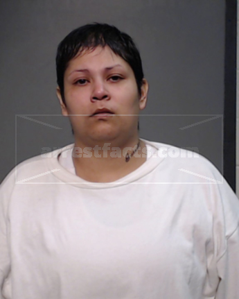Erica Mejia Gutierrez Aguirre