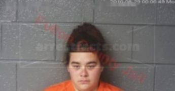 Brittney Lee Miller