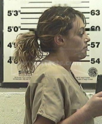 Melissa Ann Hollis