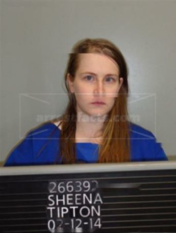 Sheena Tipton