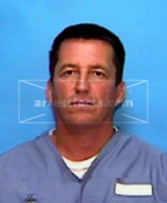 David J Vincent