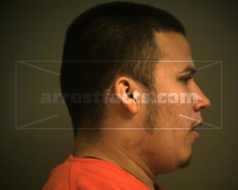 Pedro Armando Torres