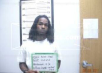 Aaron J O'neal