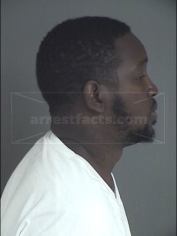 Jaquinton Rechad Shepherd