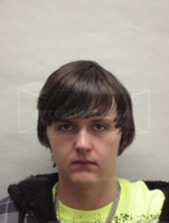 Austin G Villella