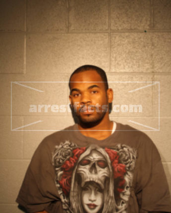 Michael L Holmes