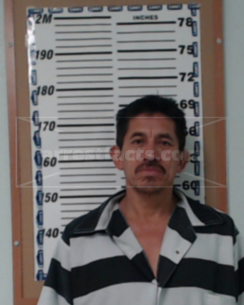 Mateo Borja-Hernandez