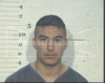 David Mujic Gonzales
