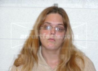 Shandi Renee Porter