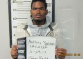 Anthony J Sanders