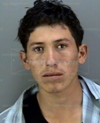 Alejandro Nava