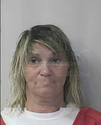 Trudi Diane Haynes