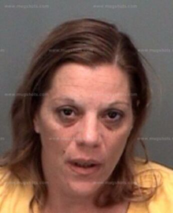 Roseann Curcio Campaign