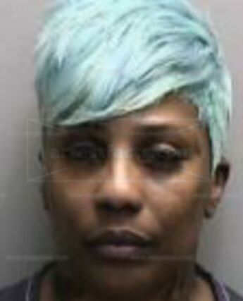 Shavelle D Clark