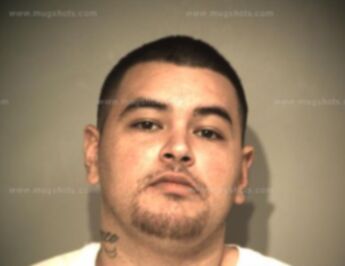 Francisco Vega Ford Ortiz