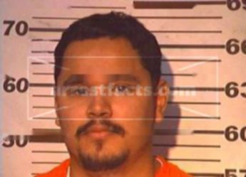 Americo Alejandro Elizondo Sepulveda
