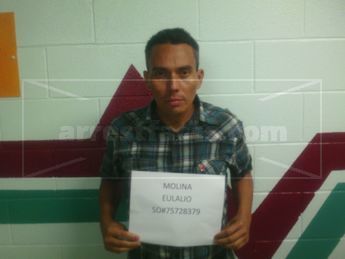 Eulalio Molina